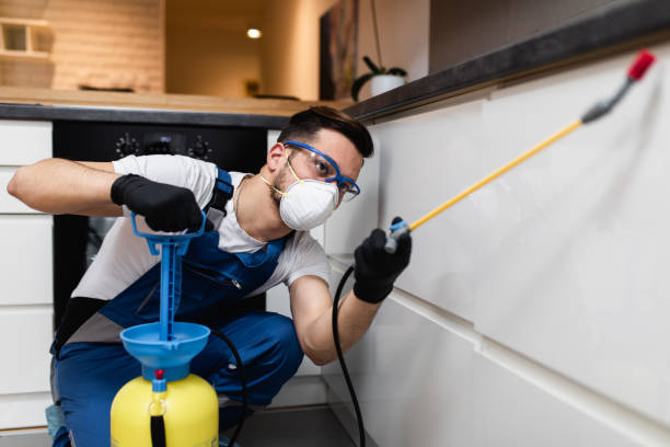 Best Exterminator Services  in Garden Grove, FL