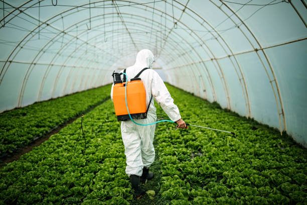 Best Bed Bug Extermination  in Garden Grove, FL
