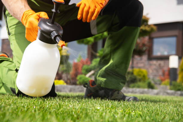 Best Emergency Pest Control  in Garden Grove, FL