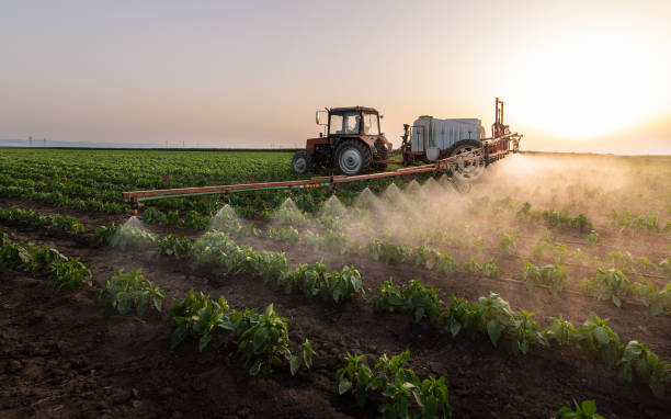 Best Wildlife Control Services  in Garden Grove, FL