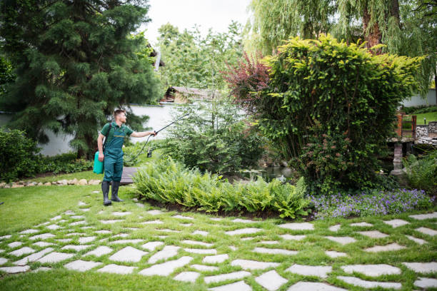 Trusted Garden Grove, FL Pest Control Experts