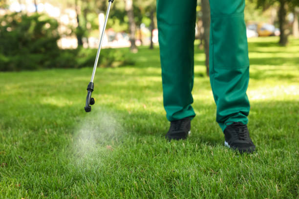 Best Bird Control  in Garden Grove, FL