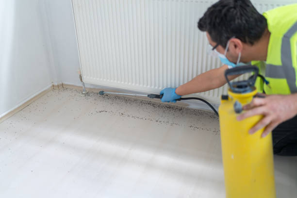 Best Best Pest Control Companies  in Garden Grove, FL